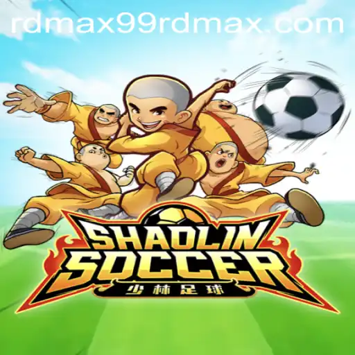 Shaolin Soccer Game Overview